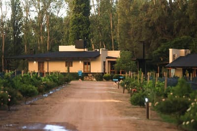 Algodon Wine Estates Resort