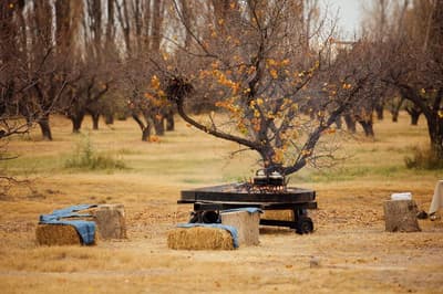 Algodon Wine Estates Resort