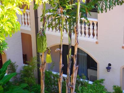 Villa Therese