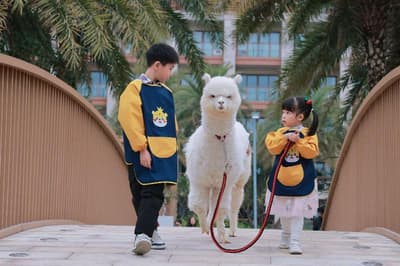 Shenzhen Marriott Hotel Golden Bay