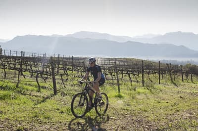 Boschendal