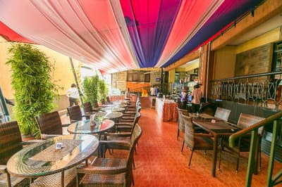 Upper Hill Blueberry