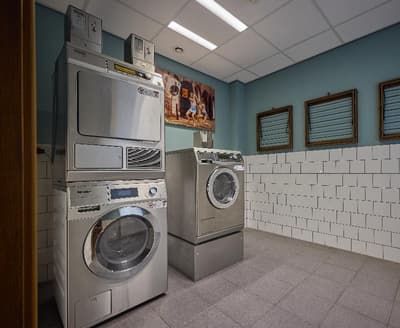 The July - Twenty Eight