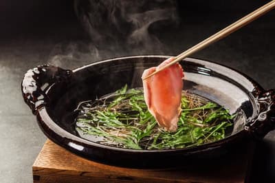 MERCURE TOYAMA TONAMI