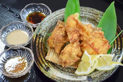 Hotel Daisen Shirogane