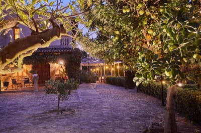 Sa Vinya des Convent Agroturismo