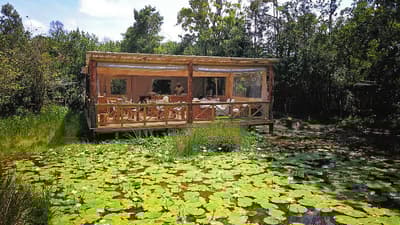 Forest Edge Nature Lovers' Retreat