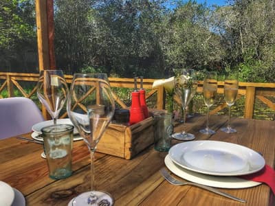 Forest Edge Nature Lovers' Retreat