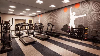 GLo Best Western Dallas South DeSoto