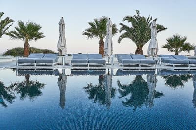 Petri Suites