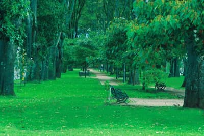 Hotel Park Way