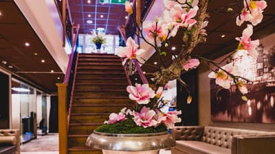 Luxury Suites Amsterdam