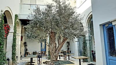 S Paul Hotel