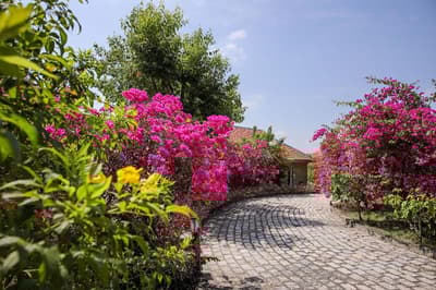 Victoria Nui Sam Lodge