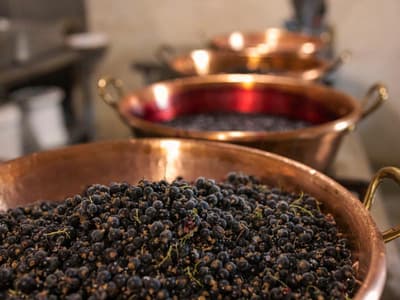 greet hotel Lille Gare Flandres (Ouverture Décembr