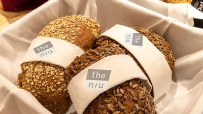 Holiday Inn - the niu, Franz Vienna