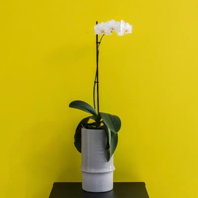 Iasonos Suites Athens