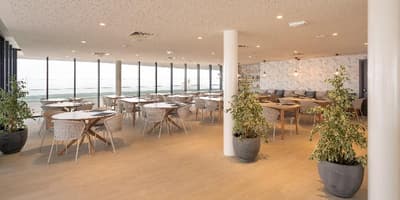 Longevity Health & Wellness Hotel - Adults Only