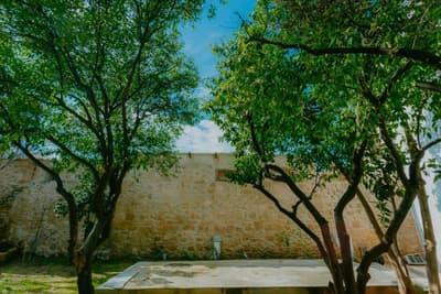 Casa Mespilea