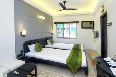 Treebo Trend Green View