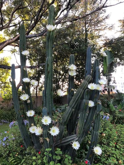 The Haystack On Homestead