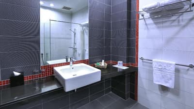 Niagara Hotel & Resorts Lake Toba