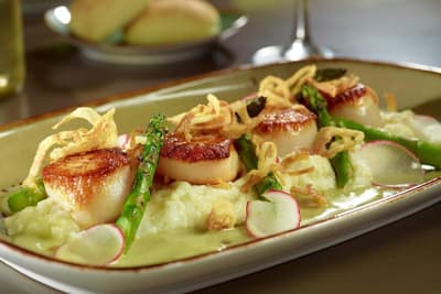 Atlanta Marriott Peachtree Corners