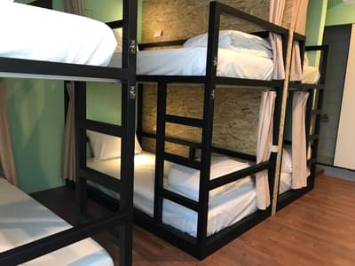 Tourist Bunny Hostel