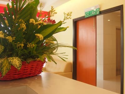 118 Hotel Macalister