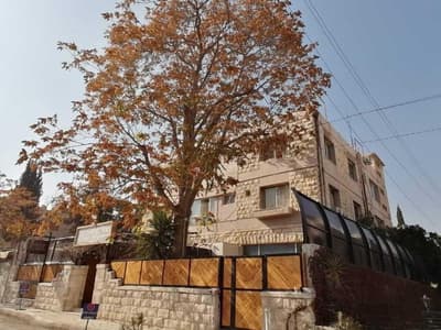 Canary Hotel