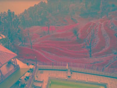 Fortune Park Moksha Hotel