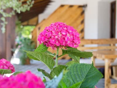 Apartments Lake Plitvice