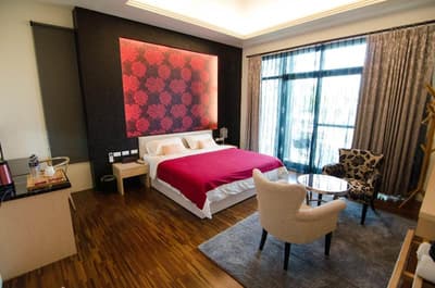 Traditional Arts Villa