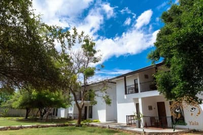 Arana by Forest Trails