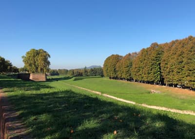 Grand Universe Lucca Autograph Collection