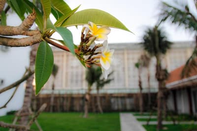 Sala Tuy Hoa Beach Hotel