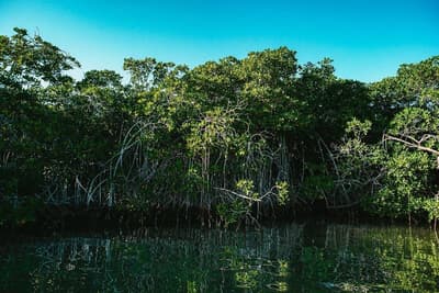 Fenix Beach Cartagena