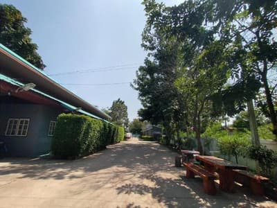 The Money Inn by ZUZU