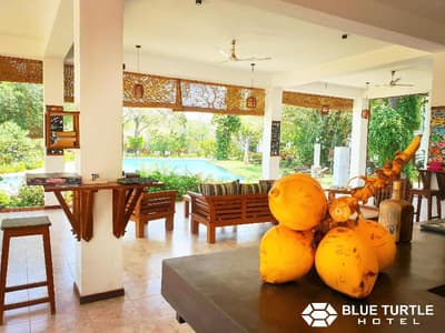 Blue Turtle Hotel