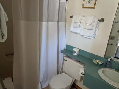 Stowe Motel Snowdrift