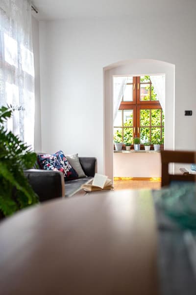 Hornigold W Zielonej Kamienicy