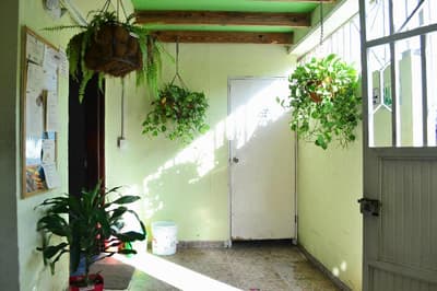 Hostel Stingray