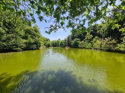 Polonezköy Country Club