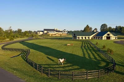Salamander Resort And Spa