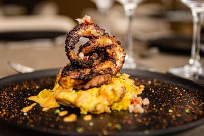 York Medellin, Curio Collection by Hilton