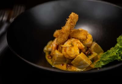 York Medellin, Curio Collection by Hilton