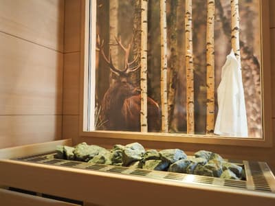 Hotel Anklamer Hof, BW Signature Collection