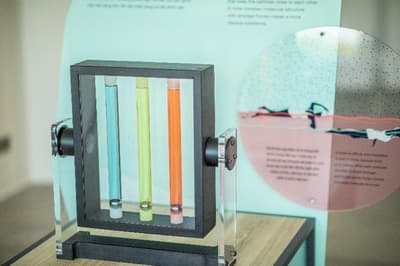 Alma Resort Cam Ranh