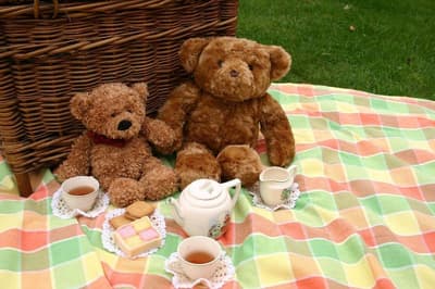 Teddybärenhotel ®