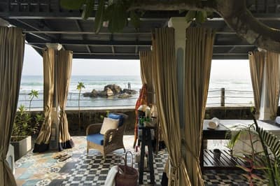 Owl And The Pussycat